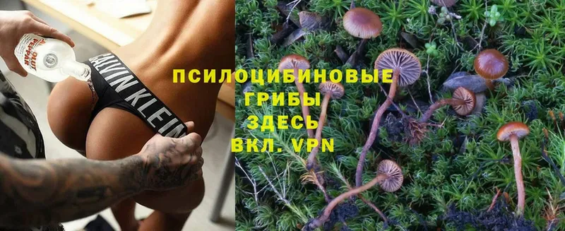 Галлюциногенные грибы MAGIC MUSHROOMS  нарко площадка какой сайт  Севастополь 